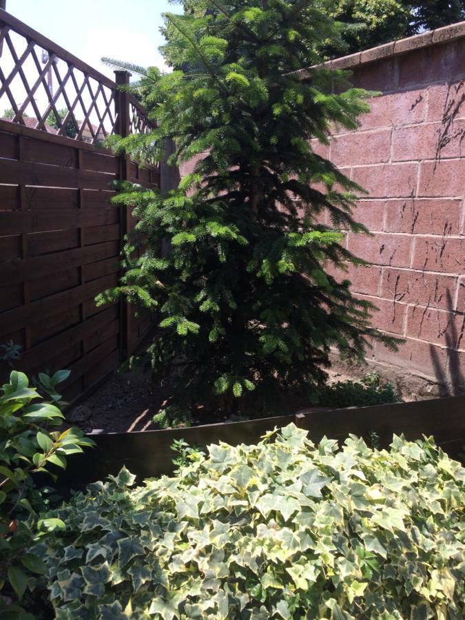 La Porta Nel Giardino Apartment Asti Exterior photo